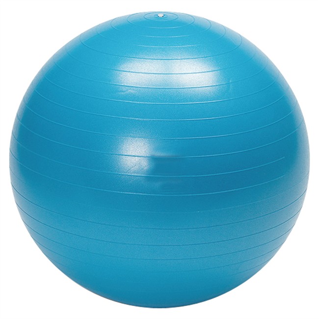 Vinex Gym Ball - Sonic (Anti-Burst)