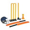 Cricket Training Set