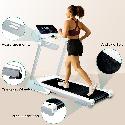 Vinex Home Use Treadmill - Ecos