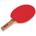 Vinex TT Bat - Pacer (1 Star)