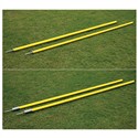 Slalom Poles & Bases